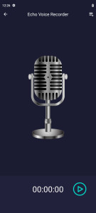 اسکرین شات 1 برنامه Echo Voice Recorder