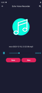 اسکرین شات 2 برنامه Echo Voice Recorder