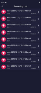 اسکرین شات برنامه Echo Voice Recorder 4