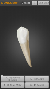 اسکرین شات برنامه BoneBox™ - Dental Lite 3