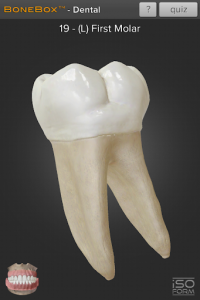 اسکرین شات برنامه BoneBox™ - Dental Lite 2