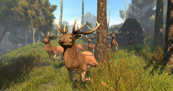 اسکرین شات بازی Deer Hunting 2020 - Animal Sniper Shooting Game 6