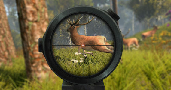 اسکرین شات بازی Deer Hunting 2020 - Animal Sniper Shooting Game 1
