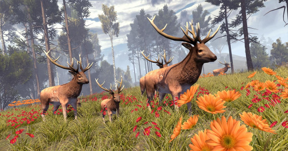 اسکرین شات بازی Archery Deer Hunter 2019 - Wild Deer Hunting Games 5