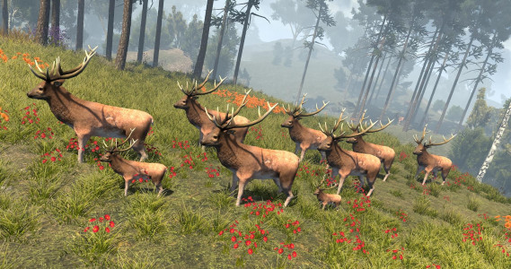 اسکرین شات بازی Archery Deer Hunter 2019 - Wild Deer Hunting Games 4