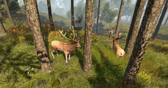 اسکرین شات بازی Archery Deer Hunter 2019 - Wild Deer Hunting Games 3