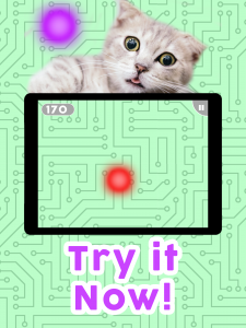 اسکرین شات بازی Games for Cats! 4