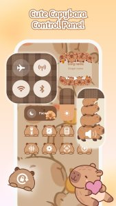 اسکرین شات 3 برنامه iControl: Easy Widgets Themes