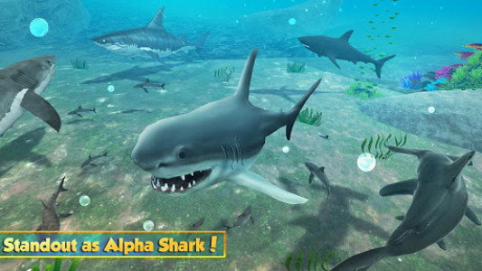 اسکرین شات بازی Life of Great White Shark: Megalodon Simulation 4