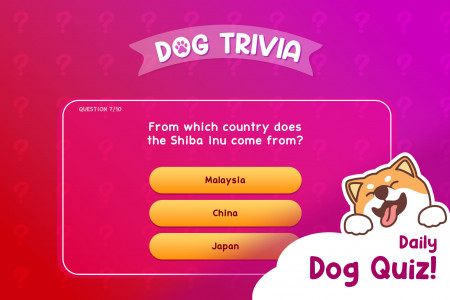 اسکرین شات بازی Dog Hotel Tycoon 8