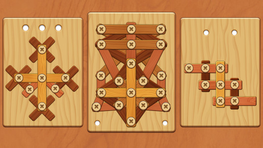 اسکرین شات 8 بازی Wood Screw Puzzle