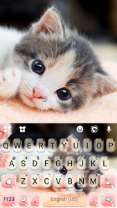 اسکرین شات برنامه Cute Kitty 2 Keyboard Backgrou 5