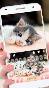 اسکرین شات برنامه Cute Kitty 2 Keyboard Backgrou 1