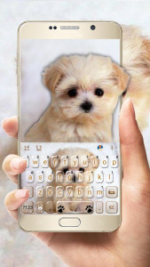 اسکرین شات برنامه Innocent Puppy Keyboard Theme 1