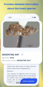 اسکرین شات 5 برنامه Insect ID: AI Bug Identifier