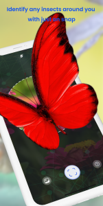 اسکرین شات 3 برنامه Insect ID: AI Bug Identifier
