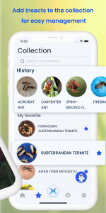 اسکرین شات 4 برنامه Insect ID: AI Bug Identifier