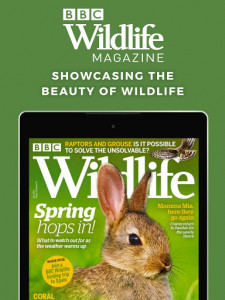 اسکرین شات برنامه BBC Wildlife Magazine - Animal News, Facts & Photo 7