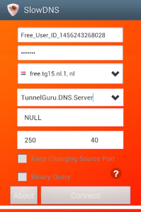 اسکرین شات 1 برنامه VPN Over DNS  Tunnel : SlowDNS