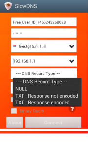 اسکرین شات 4 برنامه VPN Over DNS  Tunnel : SlowDNS