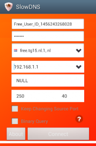 اسکرین شات 2 برنامه VPN Over DNS  Tunnel : SlowDNS