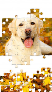 اسکرین شات برنامه Jigsaw1000: Jigsaw puzzles 7