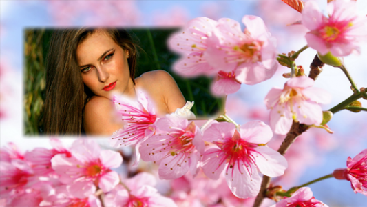 اسکرین شات برنامه Sakura Flower Photo Frames 1