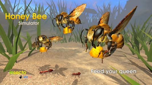 اسکرین شات بازی Honey Bee Simulator 1