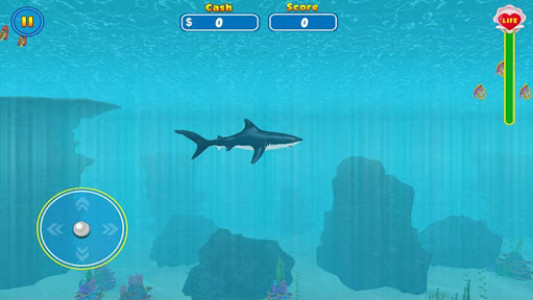 اسکرین شات بازی Shark Attack Wild Simulator 2
