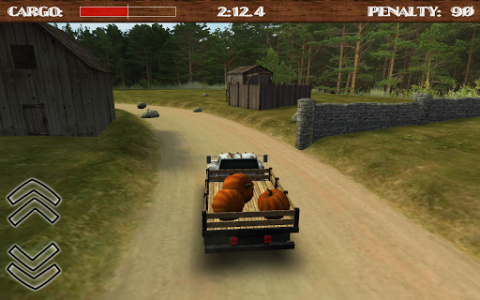اسکرین شات بازی Dirt Road Trucker 3D 6