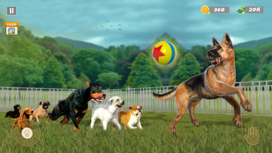 اسکرین شات 4 بازی Animal Shelter Pet Rescue Game