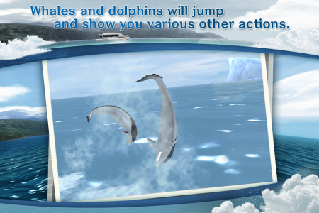 اسکرین شات بازی REAL WHALES Find the cetacean. 2