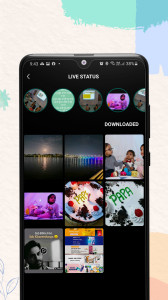 اسکرین شات 6 برنامه WT Tracker - Web Scanner