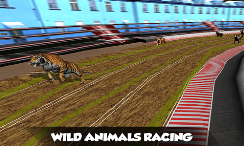 اسکرین شات بازی Crazy Real Dog Race: Greyhound Racing Game 4