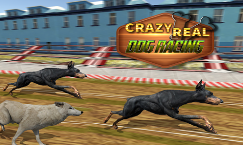 اسکرین شات بازی Crazy Real Dog Race: Greyhound Racing Game 5