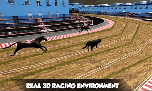 اسکرین شات بازی Crazy Real Dog Race: Greyhound Racing Game 2