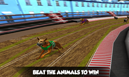 اسکرین شات بازی Crazy Real Dog Race: Greyhound Racing Game 3