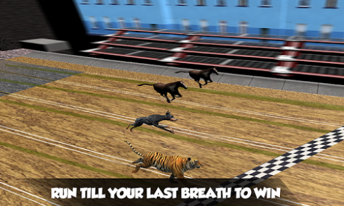 اسکرین شات بازی Crazy Real Dog Race: Greyhound Racing Game 1