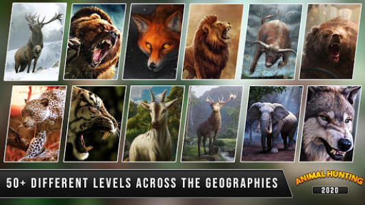اسکرین شات برنامه Wild Animal Jungle Adventure: New Animal Hunt 2020 4