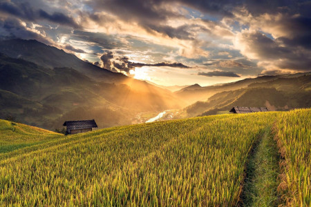 اسکرین شات 5 بازی Countryside jigsaw puzzles