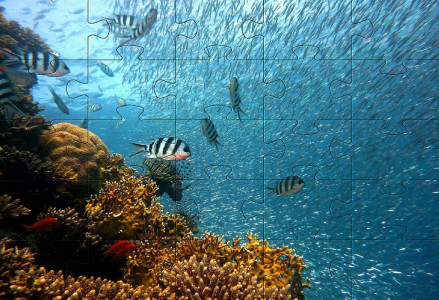 اسکرین شات بازی Underwater jigsaw puzzles game 2