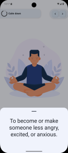 اسکرین شات 4 برنامه Phrasal Verbs