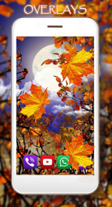 اسکرین شات برنامه Autumn Moon live wallpaper 5