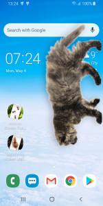 اسکرین شات برنامه Cat Walks in Phone Cute Joke 3