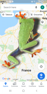 اسکرین شات برنامه Frog walking on screen joke 2