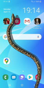اسکرین شات 1 برنامه Snake on Screen Hissing Joke