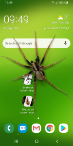 اسکرین شات برنامه Spider in Phone Funny Joke 3