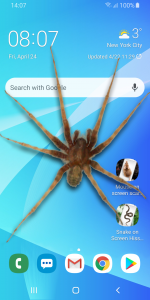 اسکرین شات 1 برنامه Spider in Phone Funny Joke