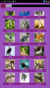 اسکرین شات برنامه صدای حیوانات و پرندگان + عکس 5