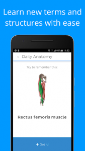 اسکرین شات برنامه Daily Anatomy: Flashcard Quizzes to Learn Anatomy 2